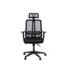 Lily Study Chair