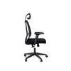 Lily Study Chair