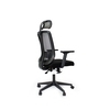 Lily Study Chair