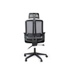 Lily Study Chair