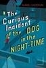 Curious Incident of the Dog in the Night-time, The (Novel)